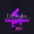 DJ Shailza - Dark And Dangerous