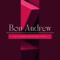 Bon Andrew - Adventurous Consequences
