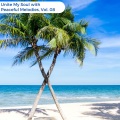 Unite My Soul With Peaceful Melodies, Vol. 08