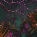 Bag One (Explicit)