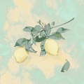 茶理理理子 - Lemon