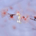 肖倾月 - 桃花诺