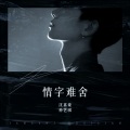沈嘉豪、云菲菲 - 情难舍