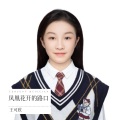 王可欣 - 凤凰花开的路口
