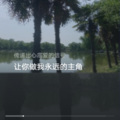 沉默是金 - 花轿里的人