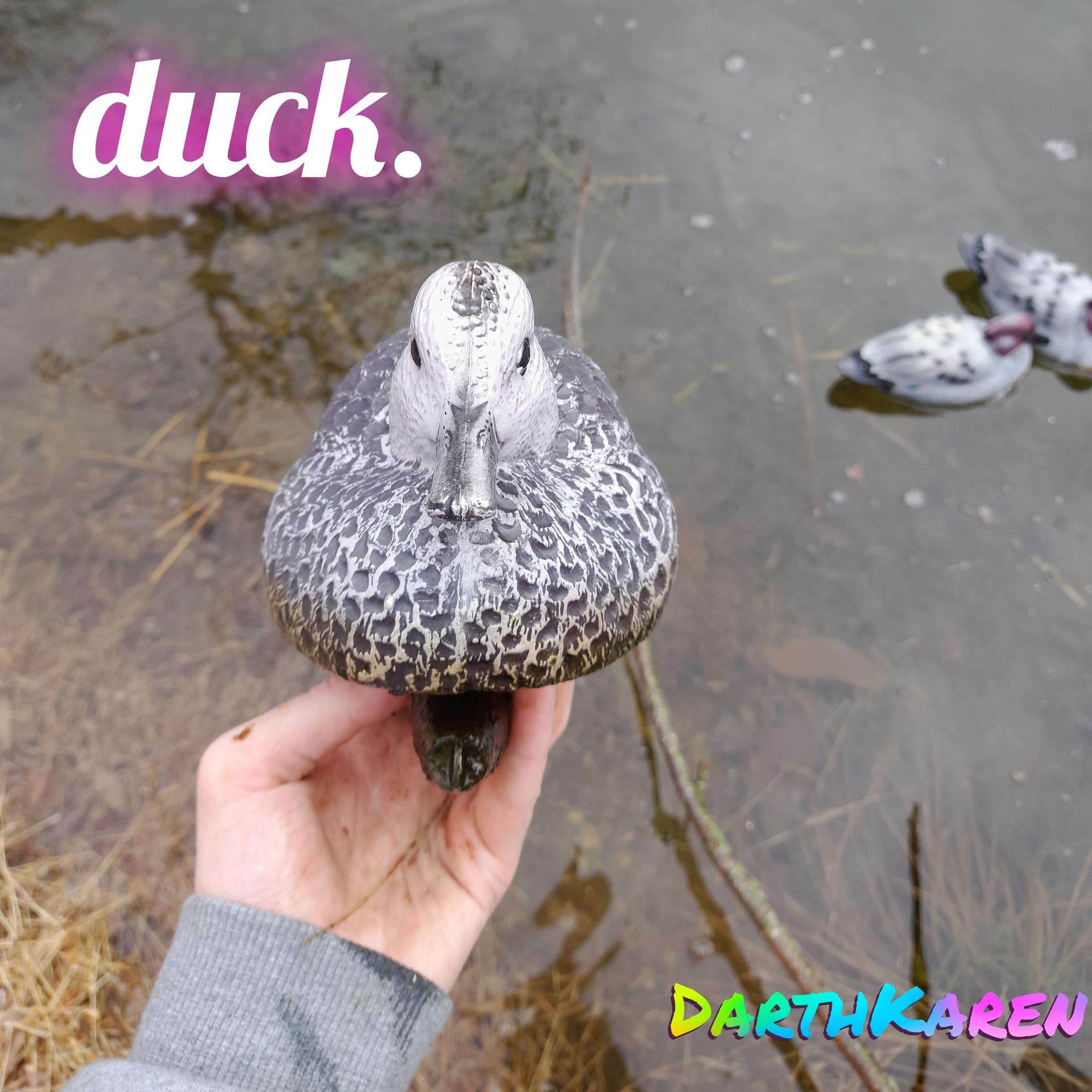 DarthKaren - duck.