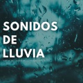 Sonidos Naturaleza、Concentración Profunda、El colectivo de la selva tropical - Suave Flujo De Agua De Lluvia