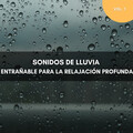 Lluvia Relajante para Dormir、Lluvia Relajante、Lluvia en el Bosque - Silbido Tranquilo De Lluvia