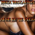 Ai Se Eu Te Pego: Mega Reggaeton