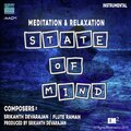 Srikanth Devarajan、Flute Raman - Traveler
