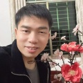 梧桐雨 - 新年大吉