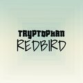 Ferdo Wira、Thand Peyman - Homecoming Lil