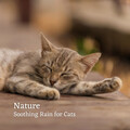 Soothing Cat Music、Music for Relaxing Cats、cloudcity - Relaxing Sweet Sound of Rain Ambience