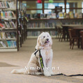 Reiki for Animals、Sleepy Dogs、Dog Radio 1 - Mindful Ambient Music for Spa