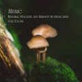 Music for Reading、Binaural Brain Waves、Concentration - Yam Chanting