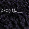 Ancipital - Cosmic Apotheosis