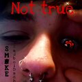 Not true (Explicit)