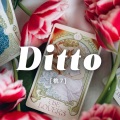 桃7 - Ditto