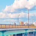 南国猫觅海 - 浮光浅夏