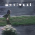 写在风中的信 - 解语花