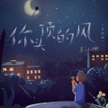 王小帅 - 你头顶的风