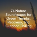 Organic Nature Sounds - Calm Nature Sounds with Music, Pt. 14