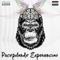 Alguien、Saikes - Recopilando Experiencias