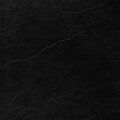 EBH Shiesty、EBH LO6AL、Drizzy Tae - DONT TOLERATE (feat. EBH LO6AL & Drizzy Tae)(Explicit)