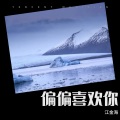 江金海 - 偏偏喜欢你
