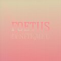 Jerre Poete - Continent Unglued
