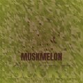 Ashy Mafi - Colin Idea