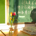 11__shiyi - 我的美丽