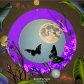 Butterfly Nights (Explicit)