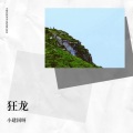 小建国呀 - 我伤了我痛了我累了 (小建国呀 remix)