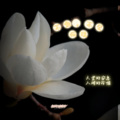 何瑀 - 不散，不见