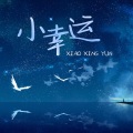 金泽宇 King - 小幸运