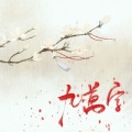 金泽宇 King - 九万字