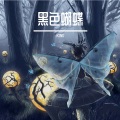 金泽宇 King - 黑色蝴蝶