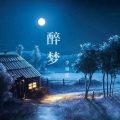 蒋少华 - 醉梦