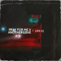 Lipa DJ - Pray for Me X Another Love (Sped Up)(Remix)