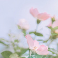 MH时光音悦榜 - 聊聊自己的感受