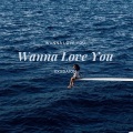 Wanna Love You