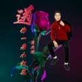 庄杰琼 - 送你一朵小红花 (庄杰琼 remix)