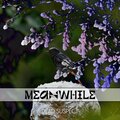 Dead Suspect - Meanwhile