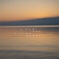 Vivian Roost - A New Day
