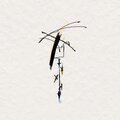 Band Naame - سيد كيت