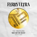 ferry ultra、Ashley Slater - Why Did You Do It (Never Dull Extended Remix)