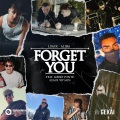 Forget You (feat. Gabry Ponte)(LUM!X VIP MIX)