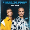 I Need to Know (feat. Flynn)(VIP Mix)