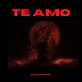 Te Amo (Sped Up)(Remix)